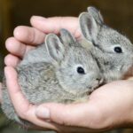 399467_10151956414160654_271828298_n