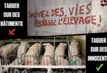 Procès de 8 activistes : quand sauver des vies devient un délit