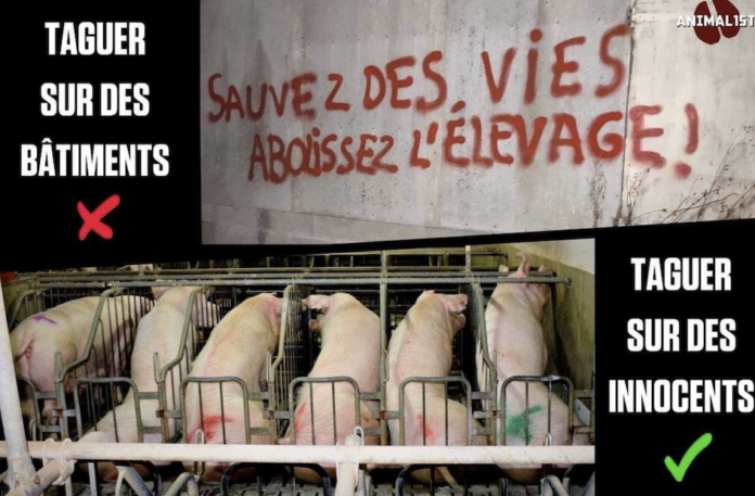 Procès de 8 activistes : quand sauver des vies devient un délit