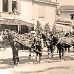 Illustration_013_Fr (1)