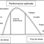 Impact-du-stress-courbe-de-Yerkes-et-Dodson-La-loi-de-Yerkes-Dodson-1908-enonce