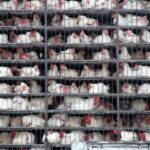 mahmut-TEzXTO_xuJs-unsplash