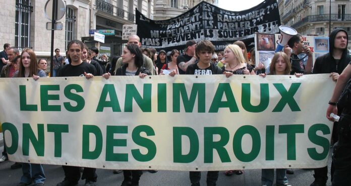 Tribune : « Il y a bien une propagande spéciste dans les écoles »