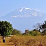 2560px-Kilimanjaro_viewed_from_Moshi (1)