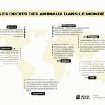 257201586_2081077505375096_8842480083822768141_n