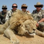 3901093772_5574696692_o (1)