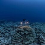 723c409_6df9d6c6d16241038bab6b9a76832e68-6df9d6c6d16241038bab6b9a76832e68-0