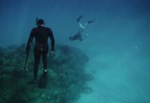 A Tahiti : découverte d’un récif corallien en bonne santé !