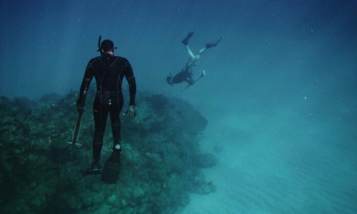 A Tahiti : découverte d’un récif corallien en bonne santé !