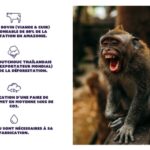 capture-decran-2022-02-16-a-153615