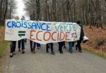 Une forêt bretonne détruite au nom de la transition énergétique