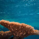 francesco-ungaro-DnLtZfBSjcU-unsplash