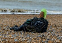 Mouvement punk, précurseur de l’écologie ?