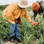 pexels-zen-chung-5529604