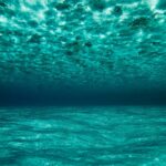 shifaaz-shamoon-PHwOf2yC1Tk-unsplash (1)