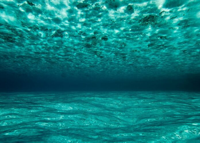 Etude : les zones mortes océaniques gagnent du terrain