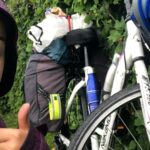 232580294_1977524889080766_9173287321146522951_n