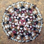 243222367_564453294867475_4352588213014139383_n