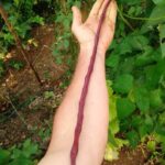 245387207_573125154000289_903575869903966073_n