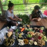 258542342_853254408680270_1832255636896353282_n