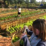 270202257_874593826546328_2435900996802321587_n