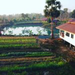 273546922_898071247531919_5871052840461084778_n