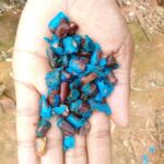 275123958_10227377298363341_7743308923729844691_n