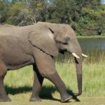 9571714639_a4c6f66e36_k