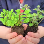 Capture-d’écran-_135_