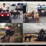 Capture d’écran 2022-03-16 à 10.54.12