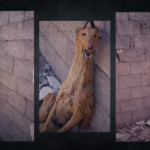 Capture d’écran 2022-03-16 à 11.07.39