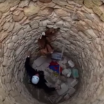 Capture d’écran 2022-03-16 à 11.12.09