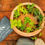 cf79a681a0a57c00a25258c822555c05-compressed (1)