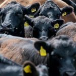 etienne-girardet-YBPlELmdJAI-unsplash