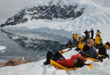 Espèces invasives : l’activité humaine menace l’Antarctique