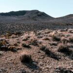 kier-in-sight-3mlLAF2ACSw-unsplash