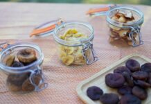 Un séchoir solaire pour conserver les aliments en autonomie énergétique