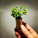 sans-titre10-1024×1024