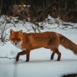 zhan-zhang-1EVgoQ0OyOg-unsplash