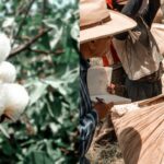 101796484-639744046622826-4338412180774790522-n-1024×1024