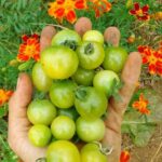 121776019_353205762658897_2400692926957340732_n