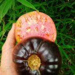 182875422_478849633427842_4286237208731823830_n