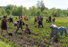 Patates contre béton : une ZAD au cœur de la Provence