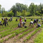 193339317_117143347219904_1402835187358037883_n