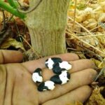 255374672_10226738719879278_7009530999386562704_n