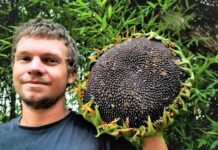 « La ferme aux mille couleurs » : l’histoire d’un agriculteur écolo