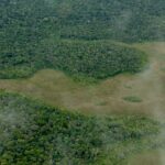 35781465501_c73c0cf65a_k