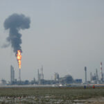 4445809074_683093d68d_h