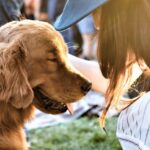 adam-griffith-sWkkIiTJMYc-unsplash