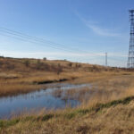 Marais dans la péninsule de Swanscombe